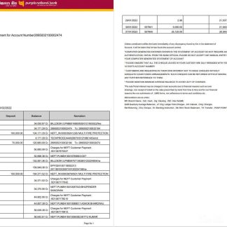 India Punjab National Bank statement Word and PDF template, 2 pages, version 2 download template file