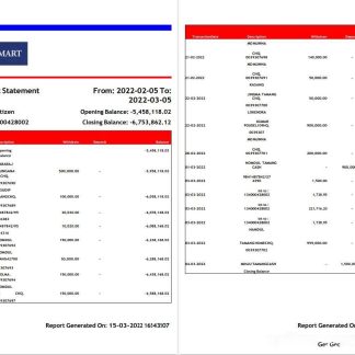 India RBB Smart bank statement 2 pages download template file