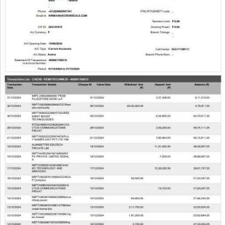 India RBL bank statement Word and PDF template, 2 pages download template file