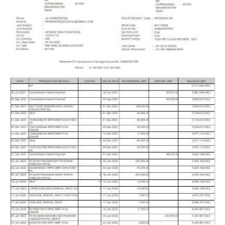 India RBL bank statement Word and PDF template scr download template file
