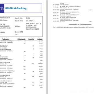 India RMGB bank statement Word and PDF template, 2 pages scr download template file