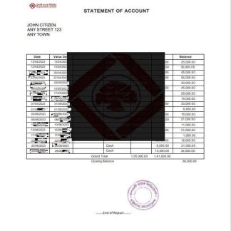 India Rupali Limited bank statement template, Word and PDF format download template file