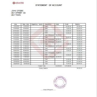 India Rupali Limited fake bank statement Word and PDF template download template file