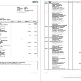 India Standard Chartered Bank account statement Word and PDF template, 2 pages, version 2 download template file