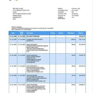 India Standard Chartered Bank account statement Word and PDF template, version 3 download template file