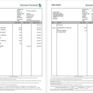 INDIA STANDARD CHARTERED bank statement template, Word and PDF format download template file