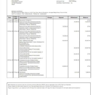 India Standard Chartered bank statement Word and PDF template scr download template file