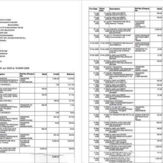 India State Bank of India account statement Word and PDF template, 2 pages download template file