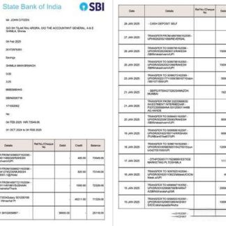 India State Bank of India account statement Word and PDF template, 2 pages, version 2 download template file