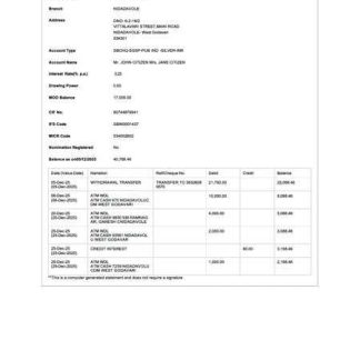 India State Bank of India account statement Word and PDF template, version 3 download template file