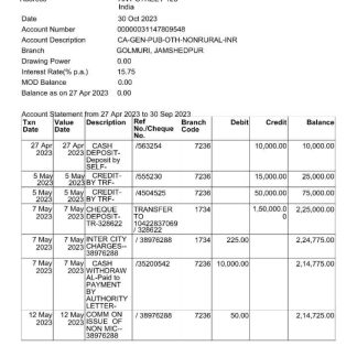 India State Bank of Inida bank statement Word and PDF template scr download template file