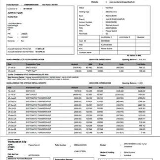 India Sundaram Mutual account statement Word and PDF template download template file