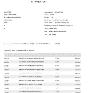 India TAB bank statement Word and PDF template, 2 pages download template file