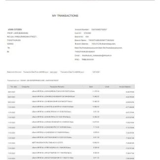 India TAB bank statement Word and PDF template scr download template file