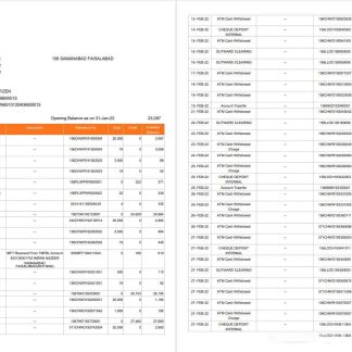 India The Bank of Punjab (BOP) account statement, 3 pages download template file