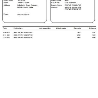 India UCO bank statement template in Word and PDF format download template file