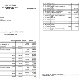 India United Bank of India statement 2 pages download template file