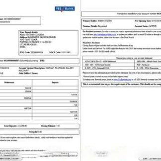 India Yes Bank statement of account Word and PDF template, 2 pages download template file