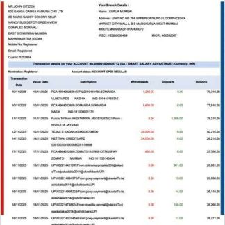 India YES Bank statement of account Word and PDF template download template file