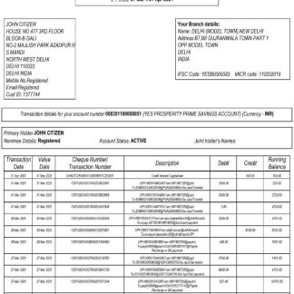 India Yes Bank statement Word and PDF template, 2 pages scr download template file