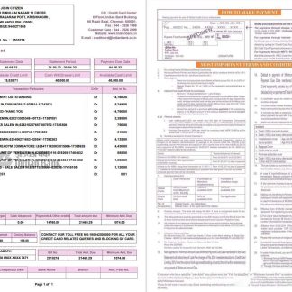 Indian bank credit card statement 2 pages download template file