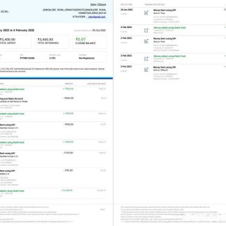 Indian Paytm bank statement 2 page download template file