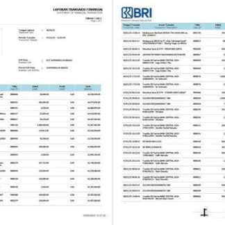 Indonesia Bank Rakyat Indonesia (BRI) statement of financial transaction Word and PDF template, 2 pages download template file