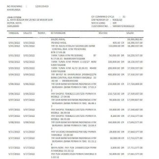 Indonesia Permatabank statement Word and PDF template scr download template file