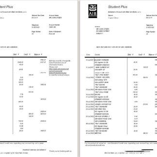Ireland AIB bank statement template, Word and PDF format, 6 pages download template file