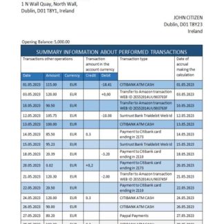 Ireland Citibank bank statement Word and PDF template download template file