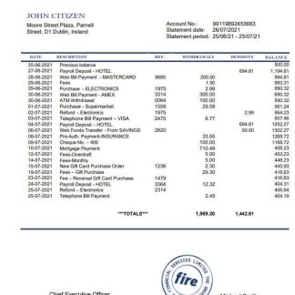 Ireland Fire Financial Services Limited word download template file
