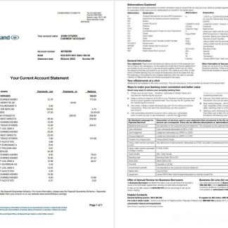 Irland Bank of Ireland statement 2 pages download template file