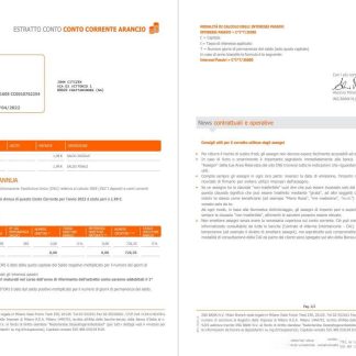 Italy ING bank statement 2 pages download template file
