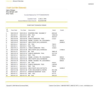 Jamaica National Commercial Bank statement Word and PDF template download template file