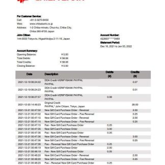 Japan Chiba Bank statement download template file