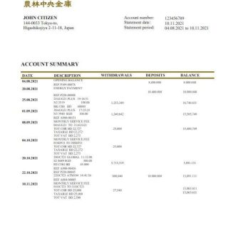 Japan Norinchukin Bank statement download template file