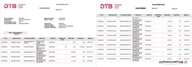Kenya Diamond Trust Bank account statement Word and PDF template, 2 pages download template file