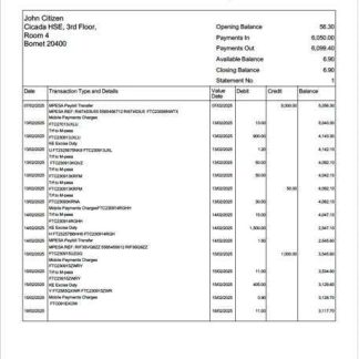 Kenya NCBA Bank e statement of account Word and PDF template download template file