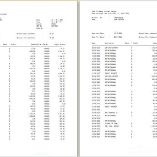 Laos Agricultural Promotion Bank statement Word and PDF template, 3 pages download template file