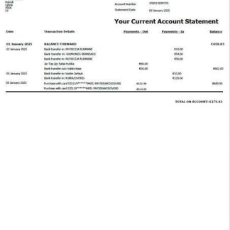 Latvia Money Jar account statement Word and PDF template download template file
