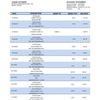 Lesotho Standard Lesotho Bank statement download template file