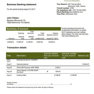 Liberia IB International Bank statement download template file