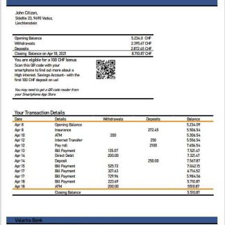 Liechtenstein Valartis bank statement template in Word and PDF format download template file