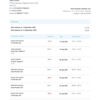 Lithuania Verse Payments account statement Word and PDF template download template file