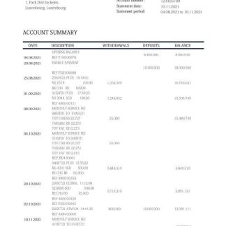 Luxembourg Advanzia Bank statement download template file