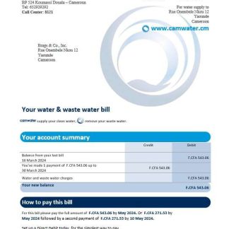 Cameroon Camwater business utility bill Word and PDF template (2).doc download template file