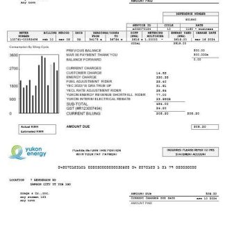 Canada Yukon Energy business utility bill template in Word and PDF formats download template file
