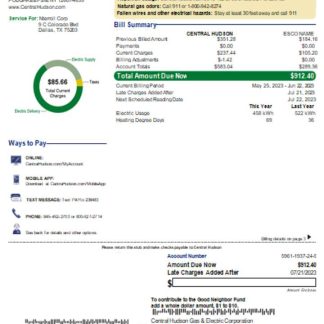 Central Hudson Energy Group utility business bill, page 1, SCR download template file