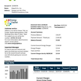 Chile Energy Capital business utility bill template in Word and pdf formats download template file