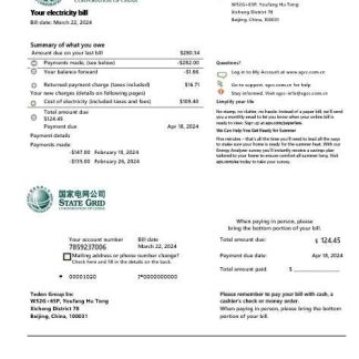 China State Grid Corporation of China electricity business utility bill in word and pdf formats download template file